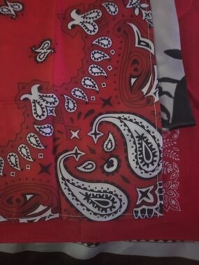 Red Bandana Print Scarf